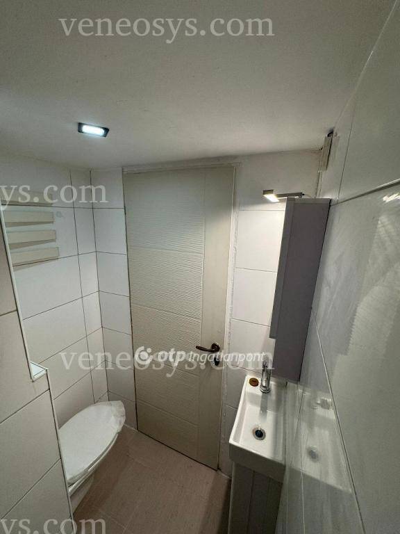 Kép 11