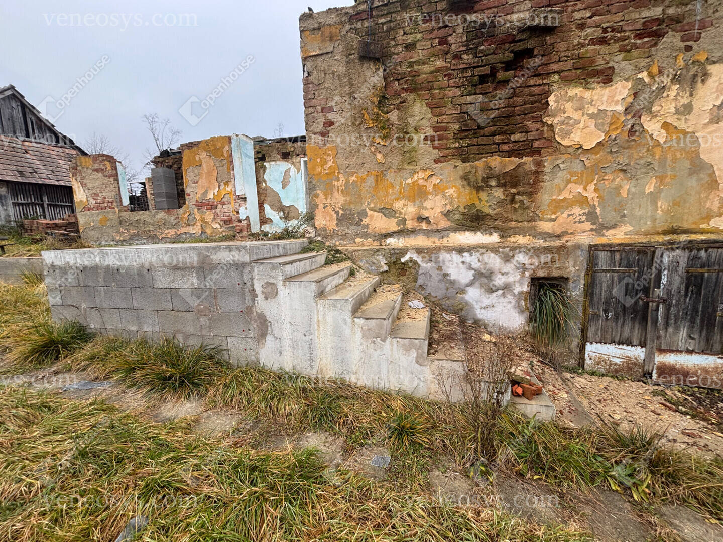 Kép 6