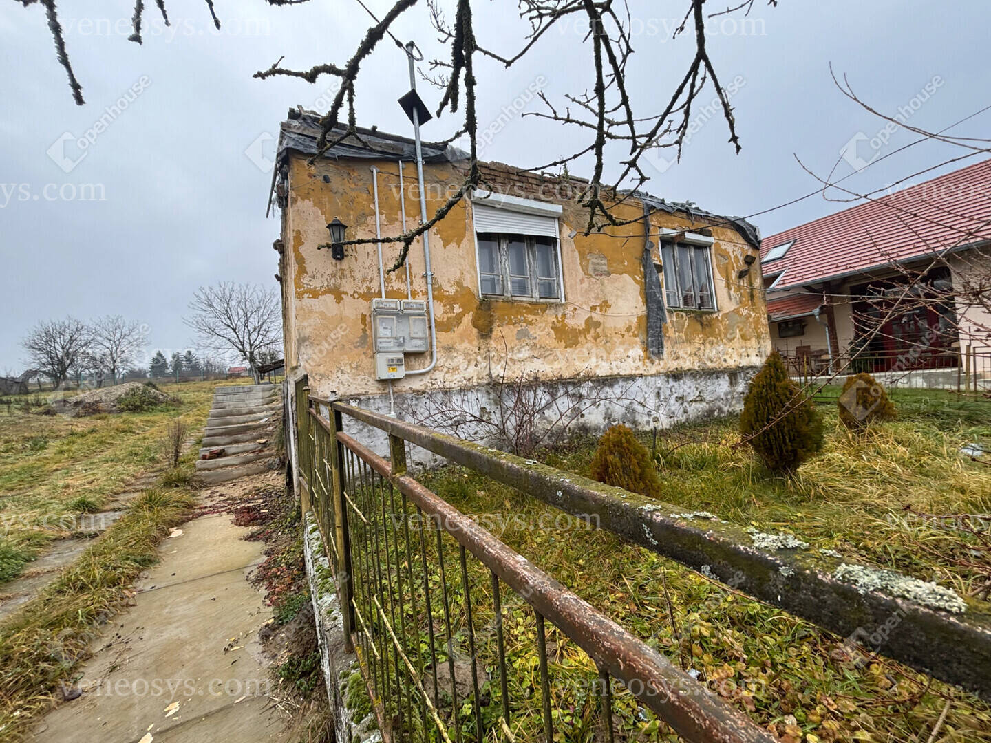 Kép 10