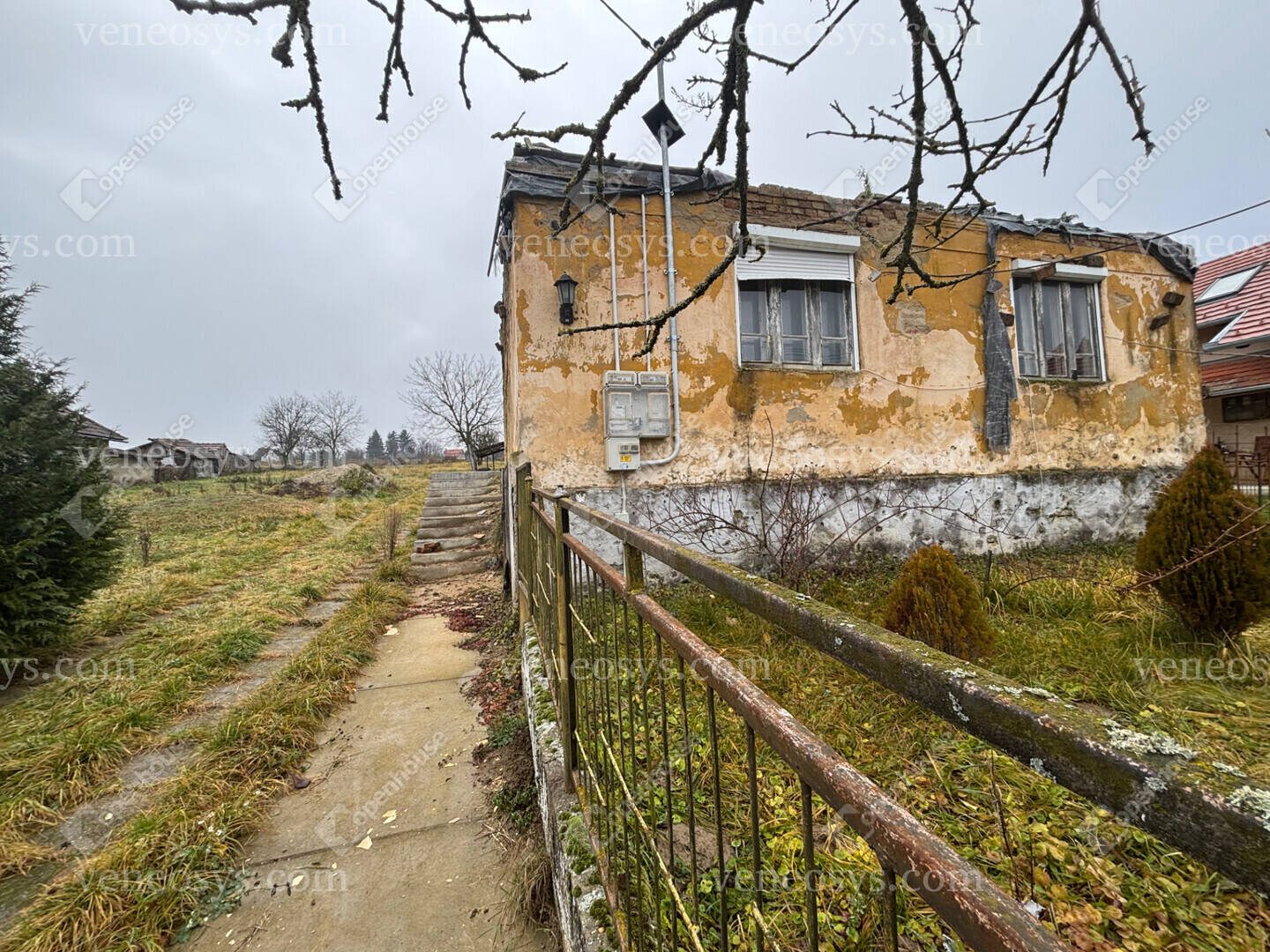 Kép 5