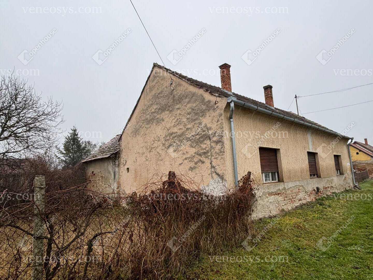 Kép 4