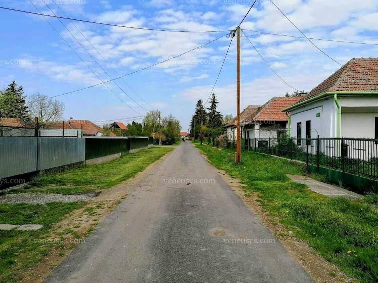 Kép 12