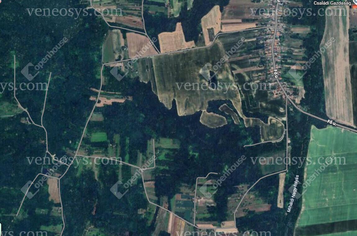 Kép 8