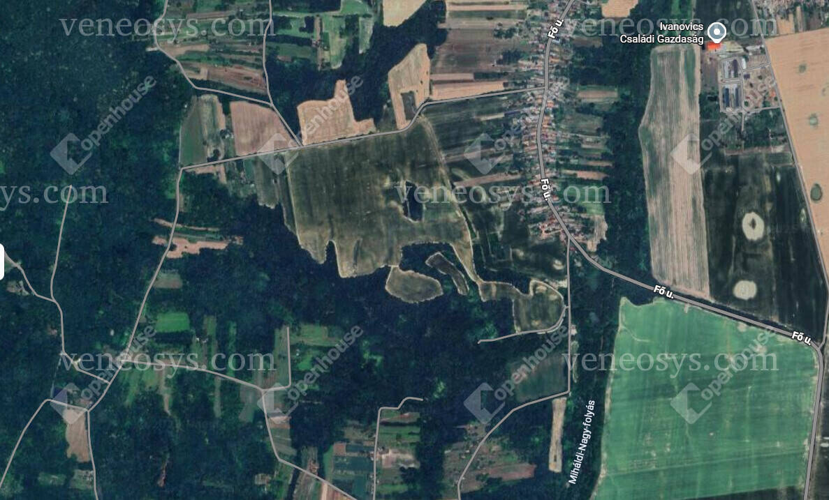 Kép 10