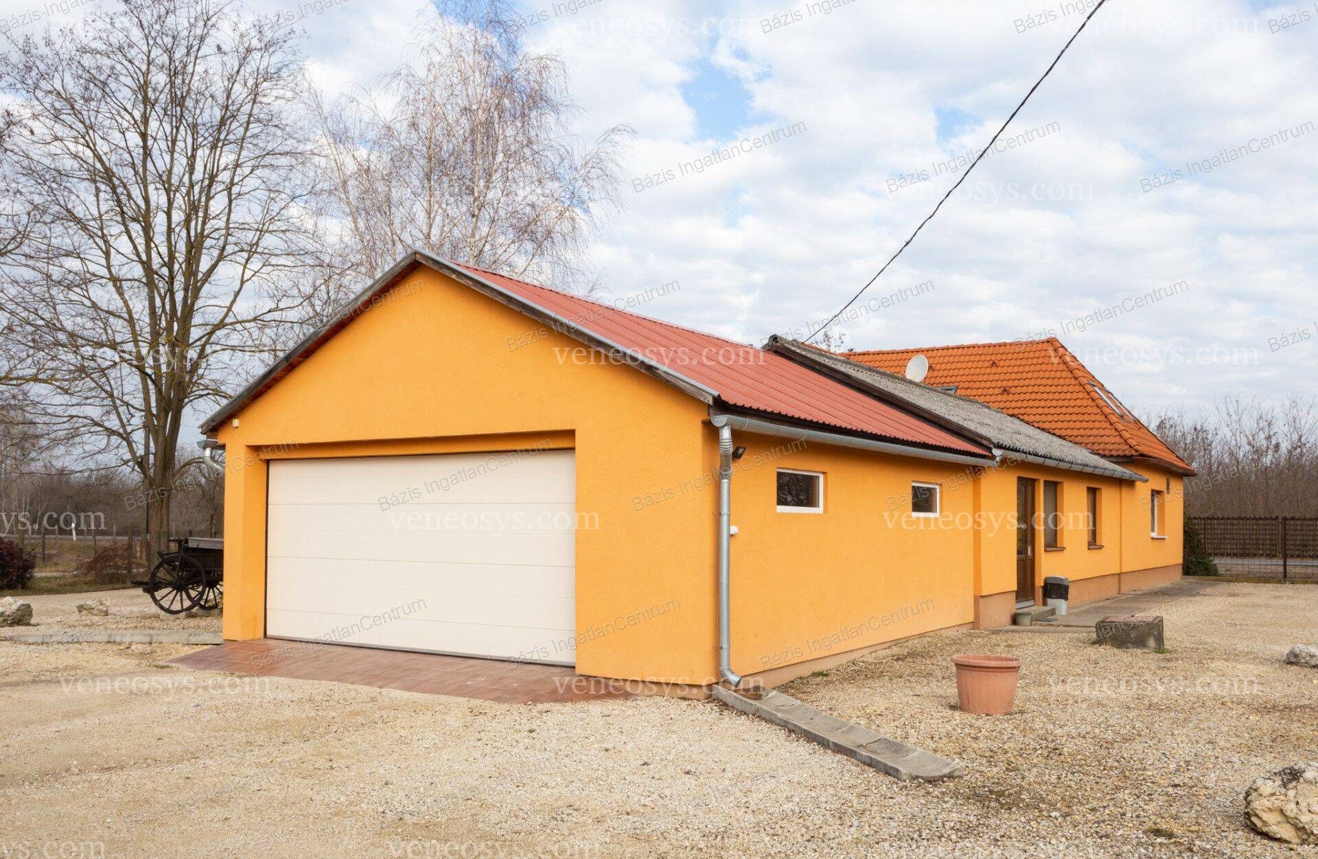 Kép 7