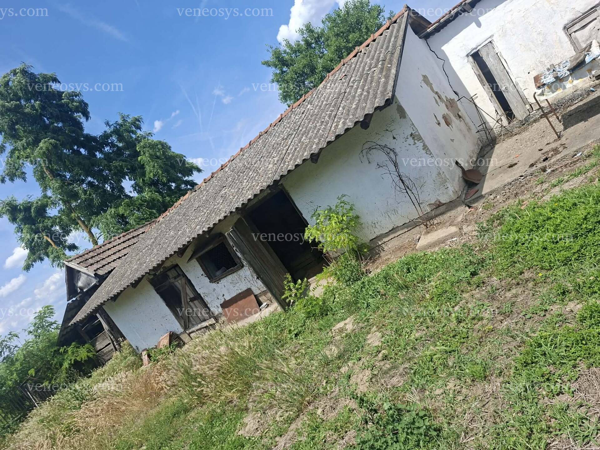 Kép 6