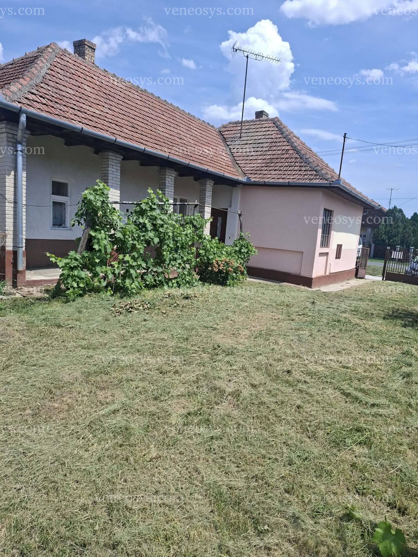 Kép 11