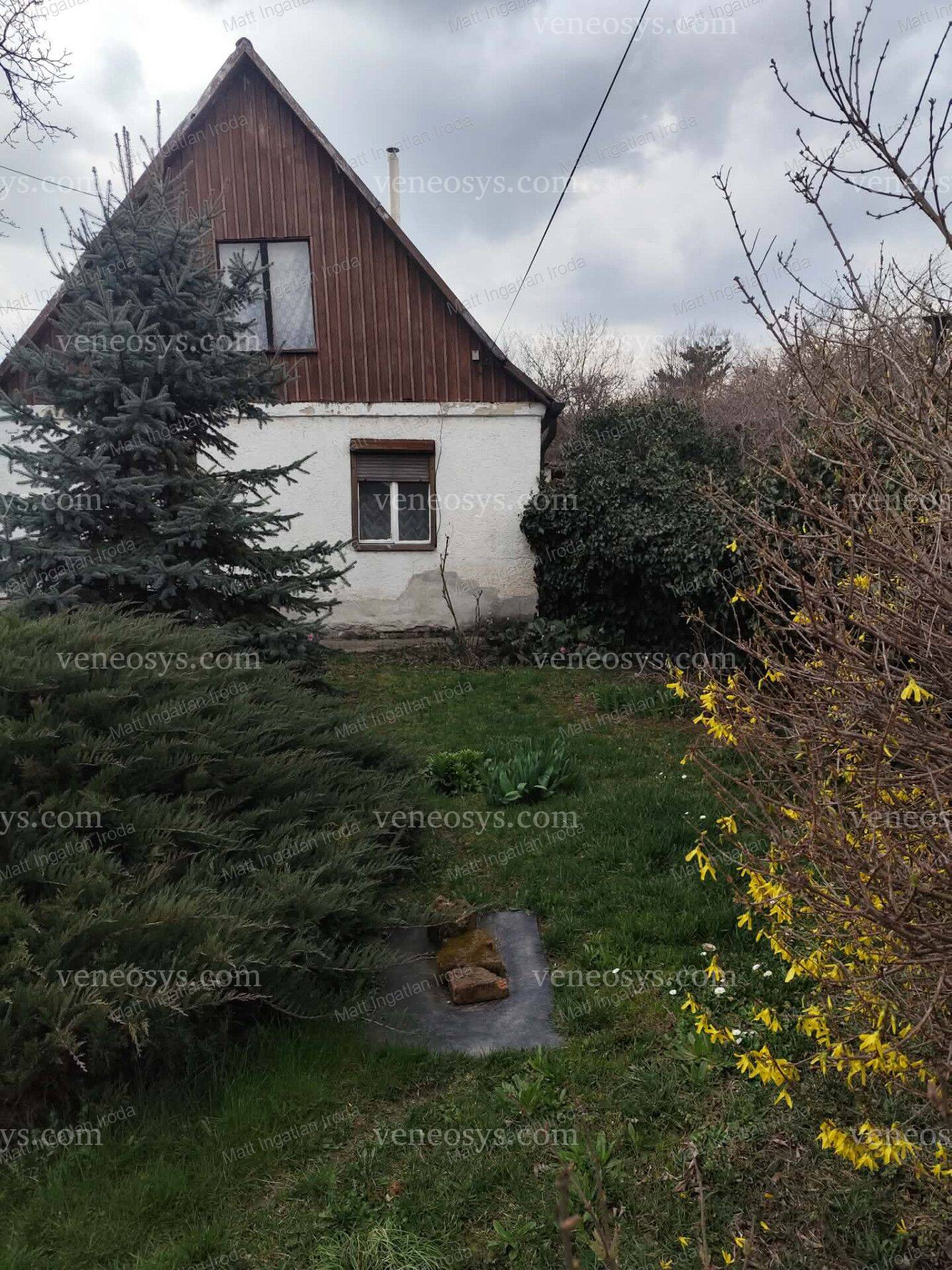 Kép 3