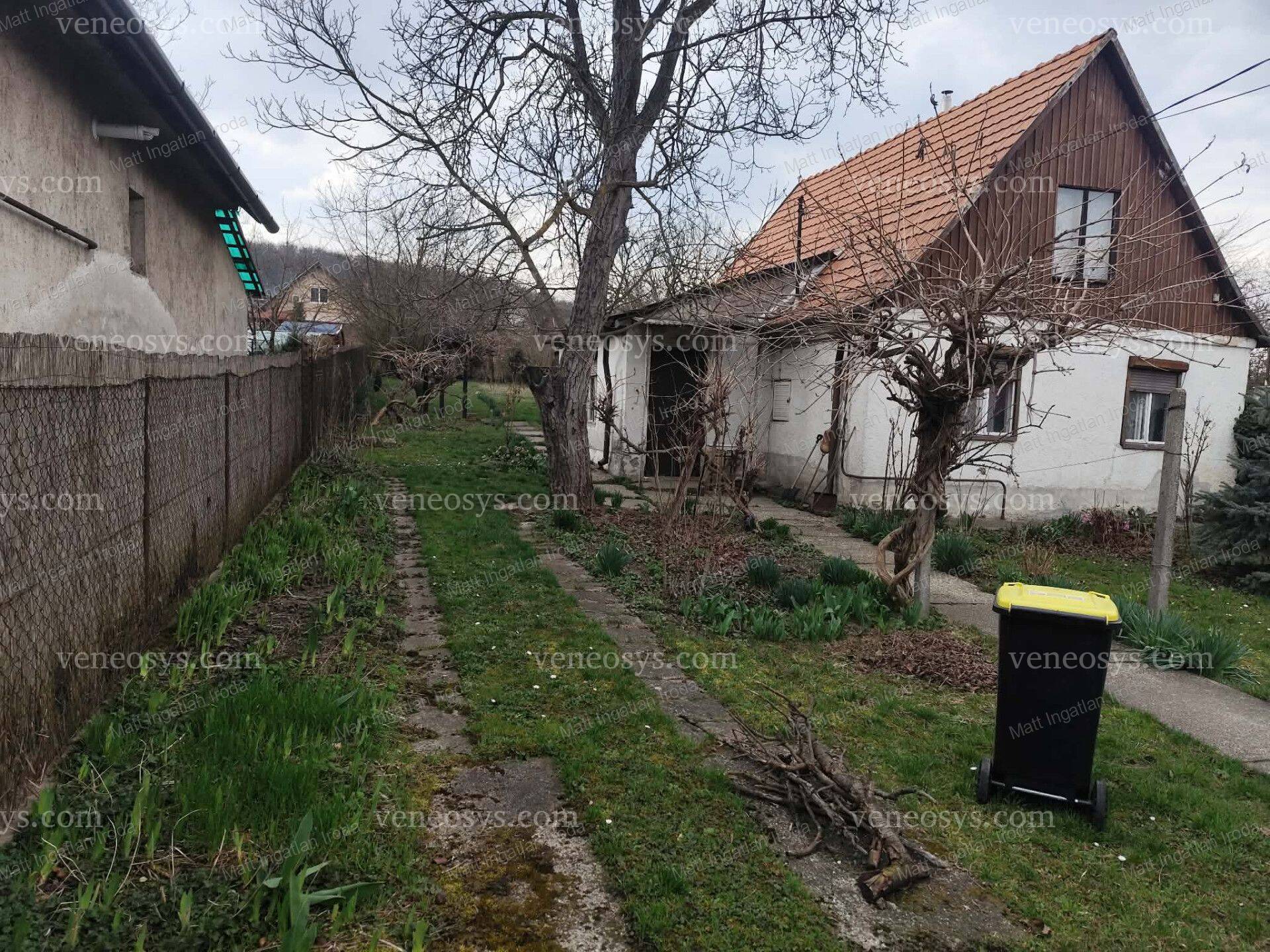 Kép 4
