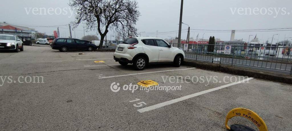 Kép 15
