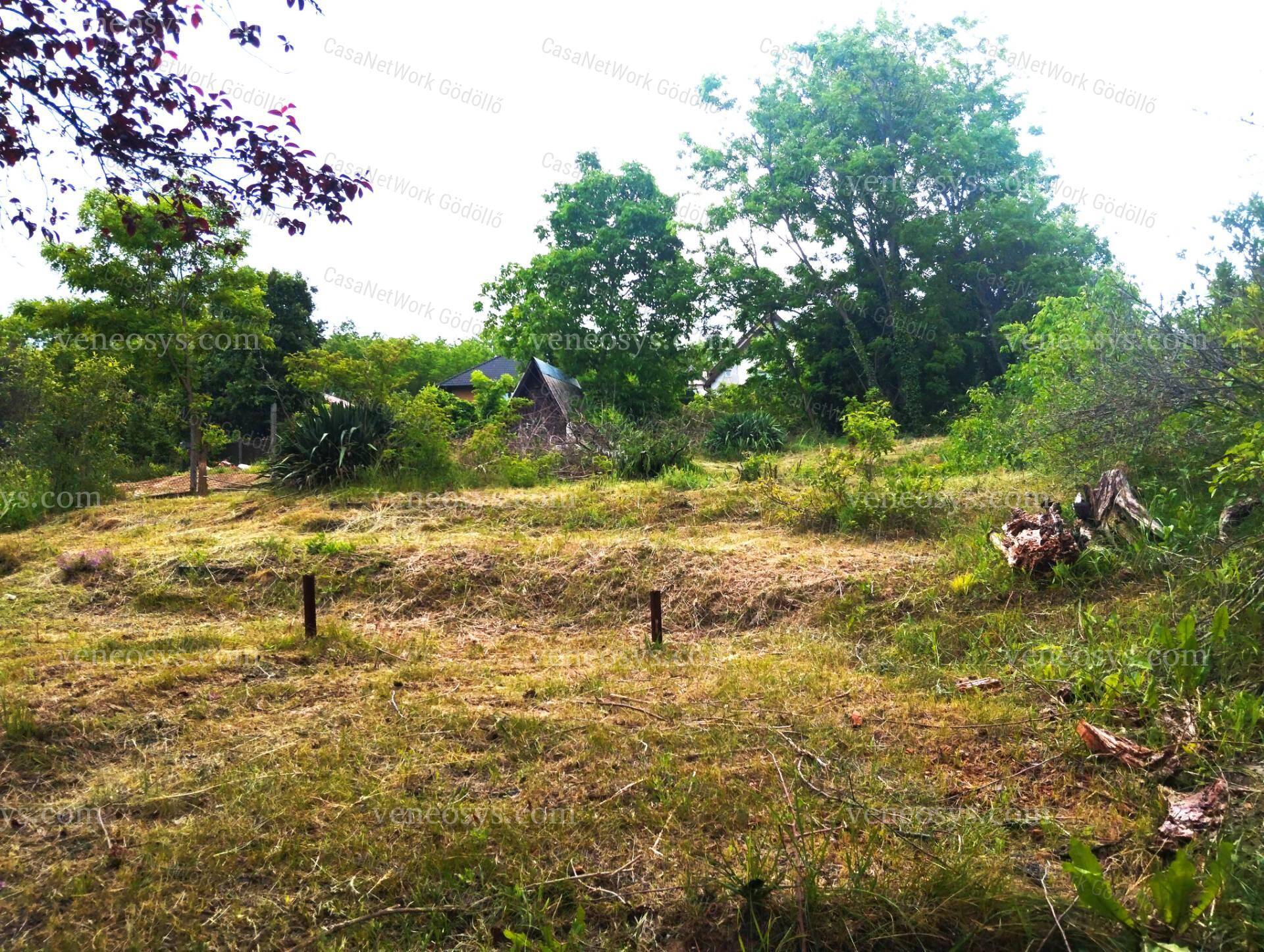 Kép 8