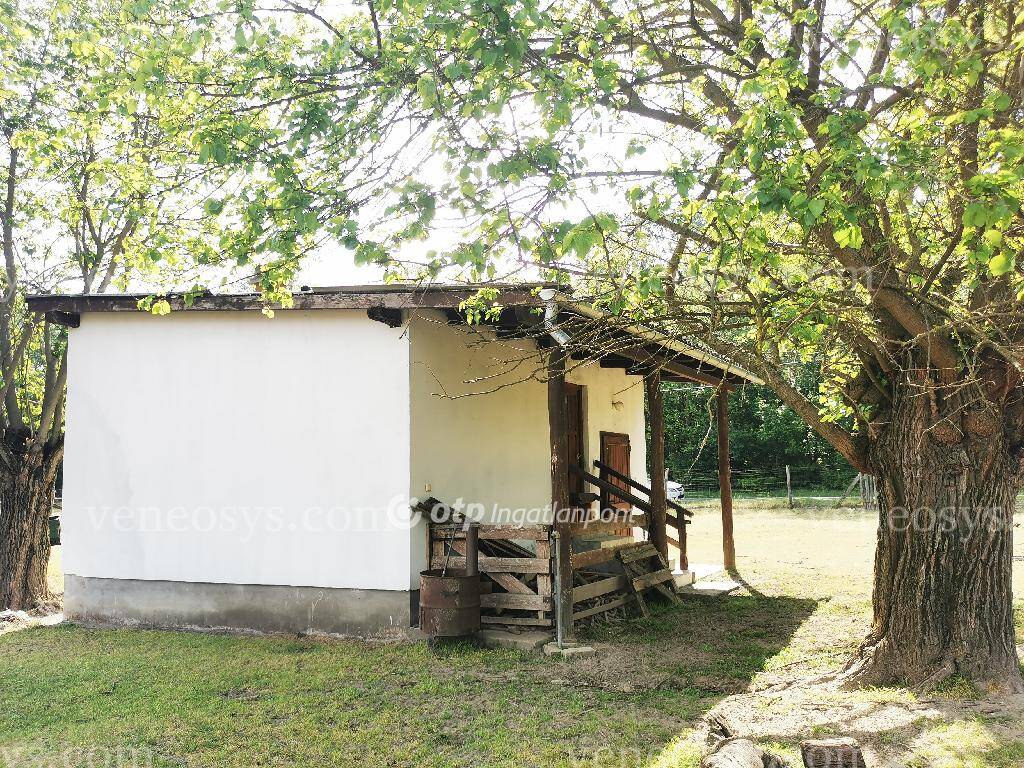 Kép 15