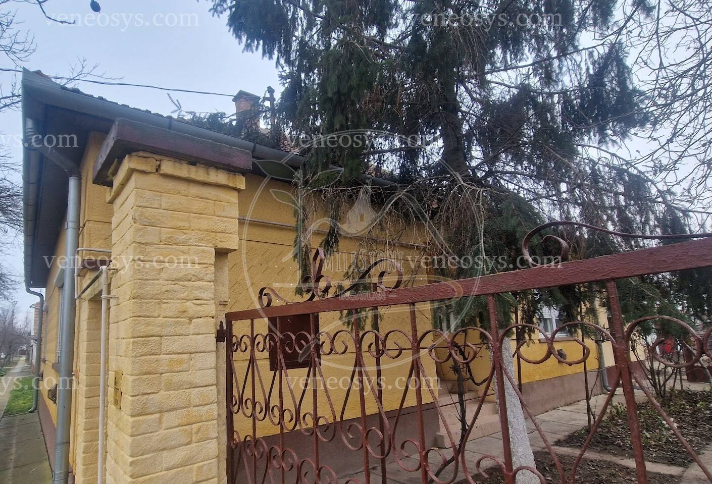 Kép 4