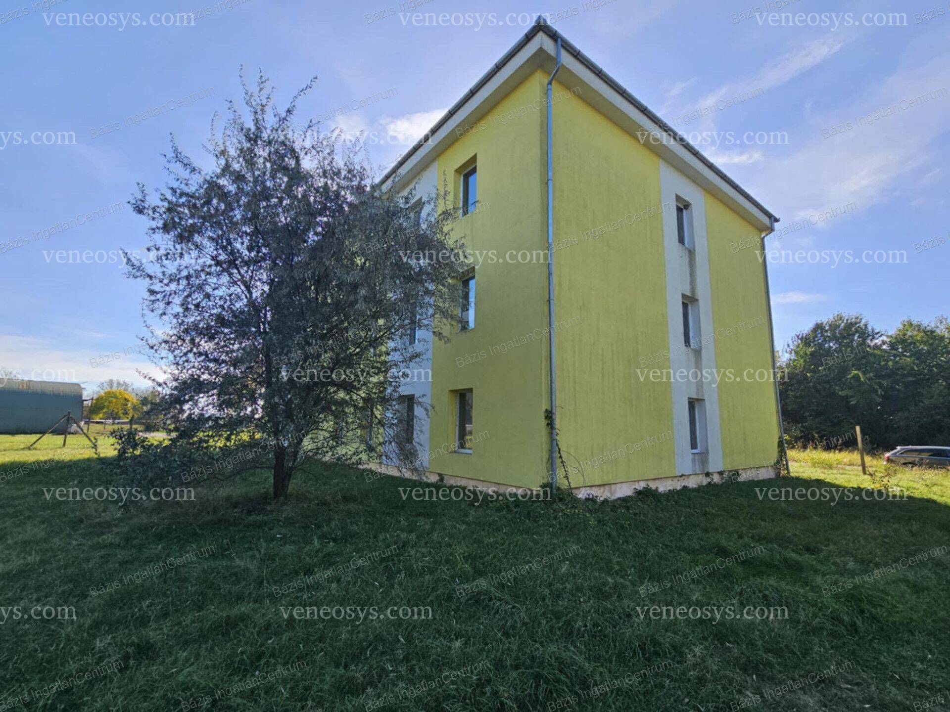Kép 7