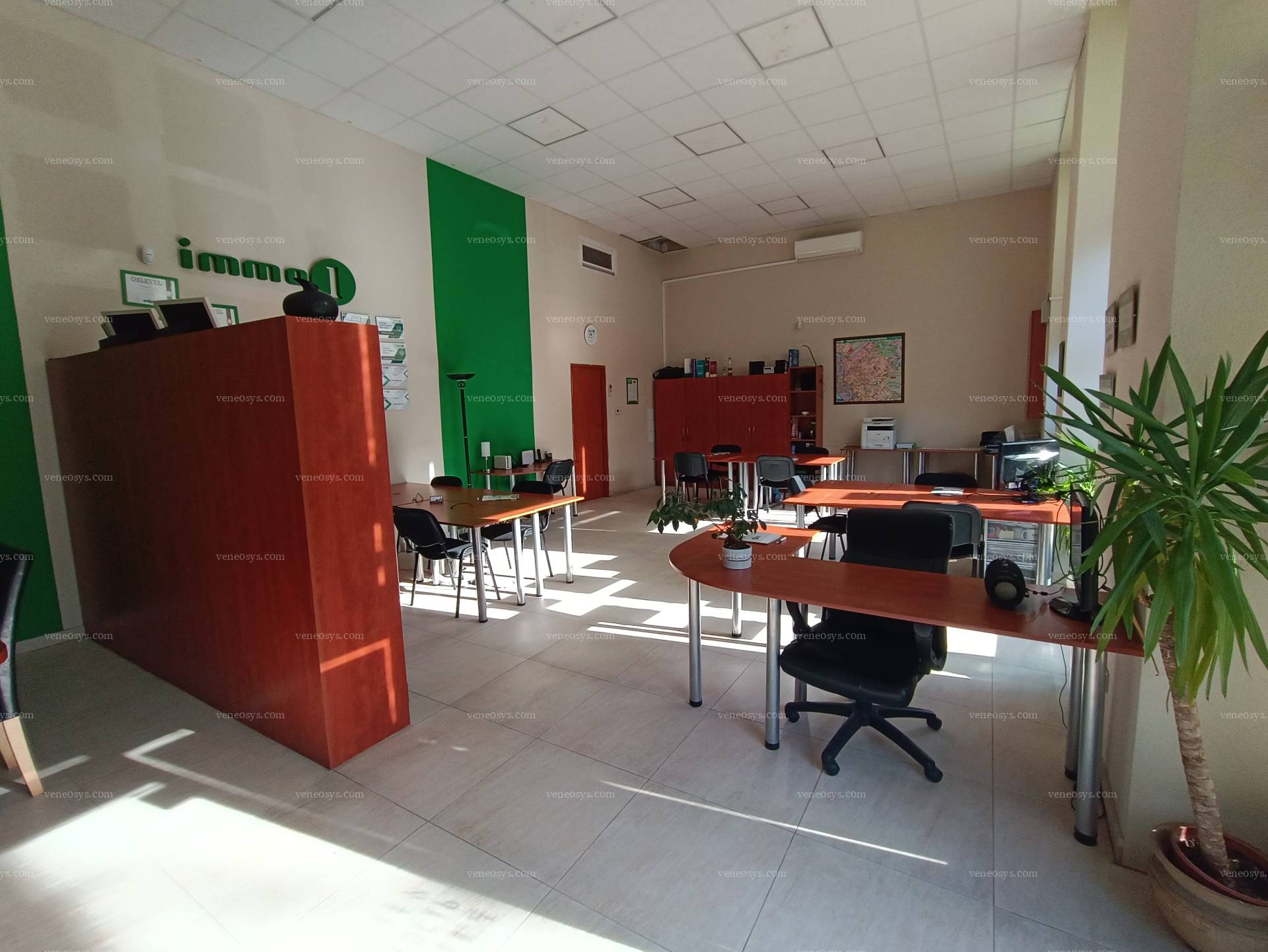 Kép 7