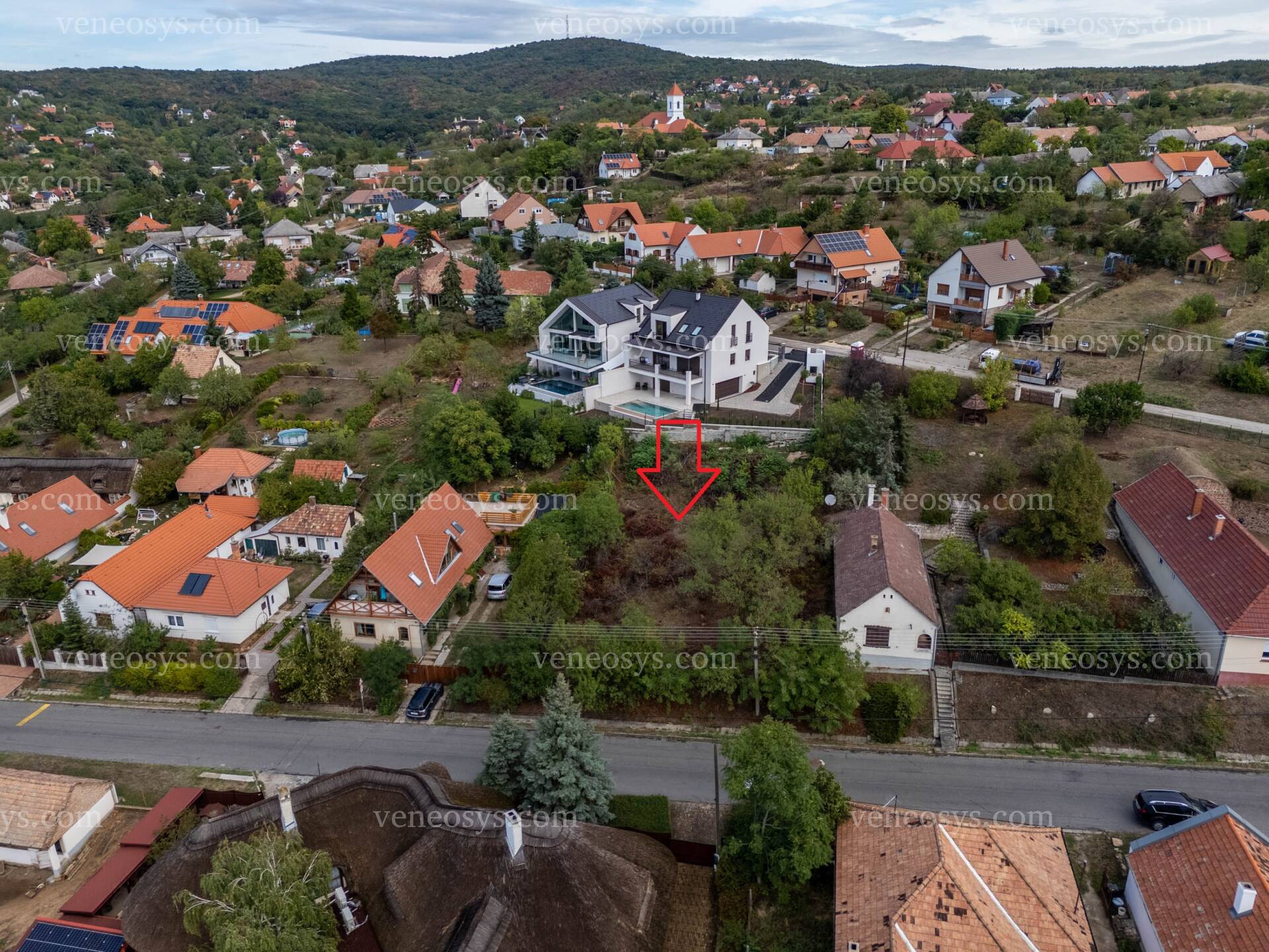 Kép 5