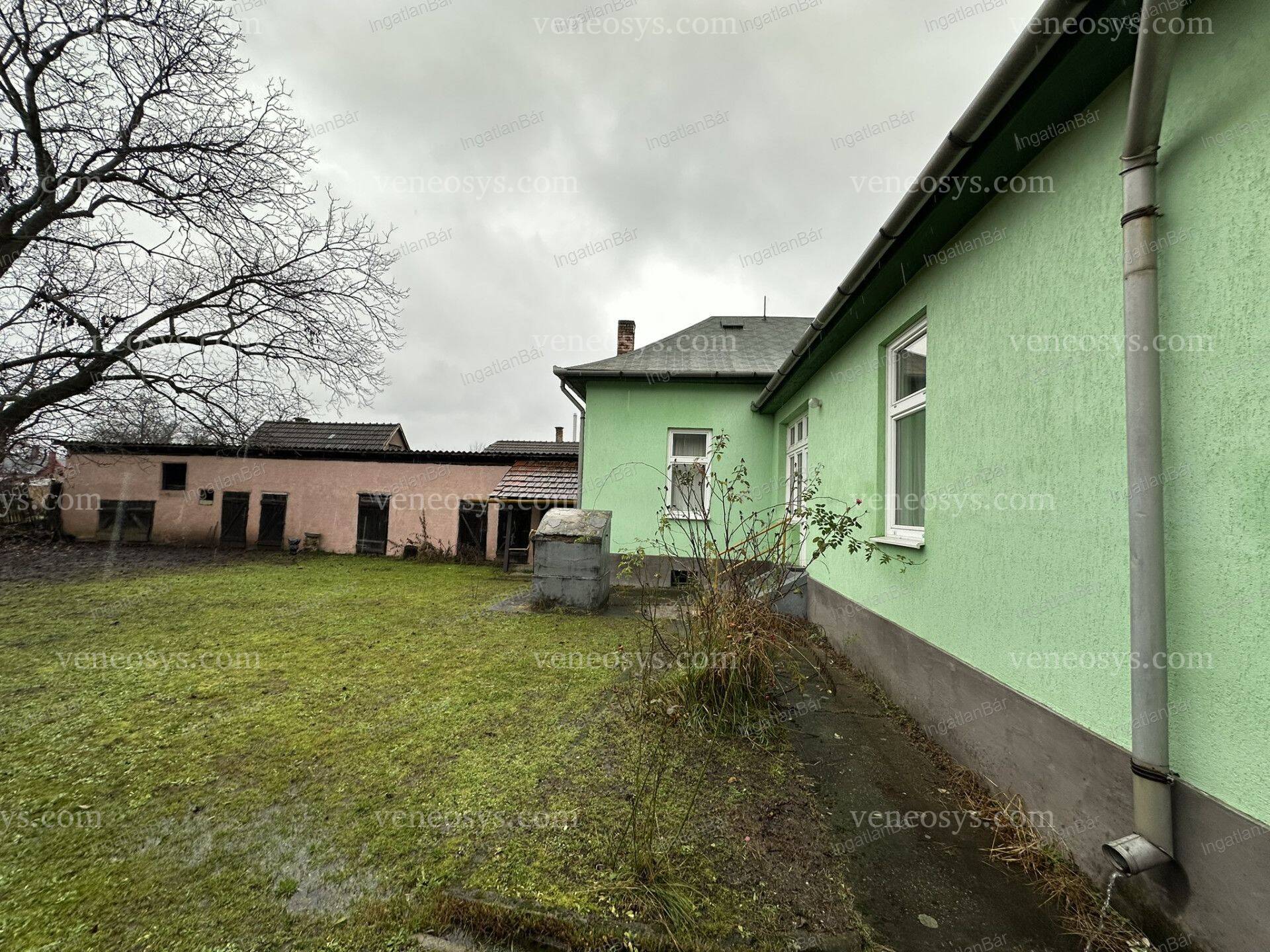 Kép 4