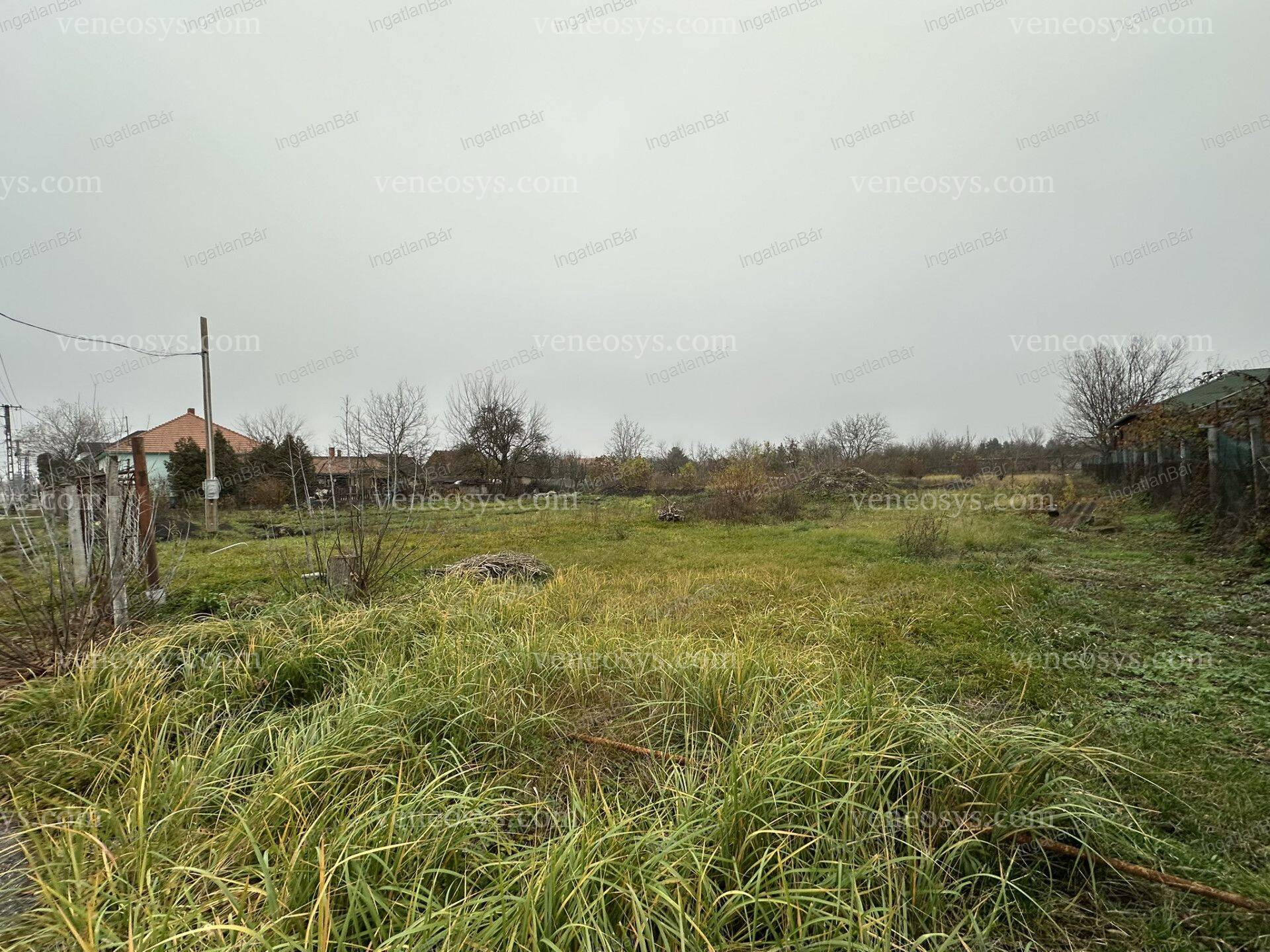 Kép 7
