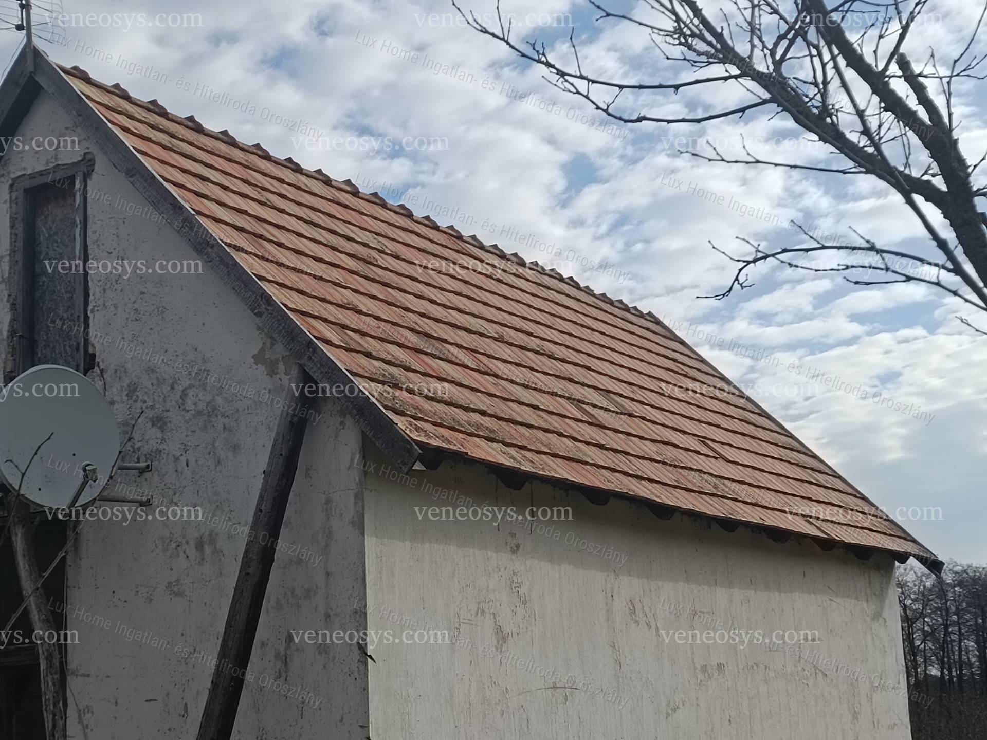Kép 14