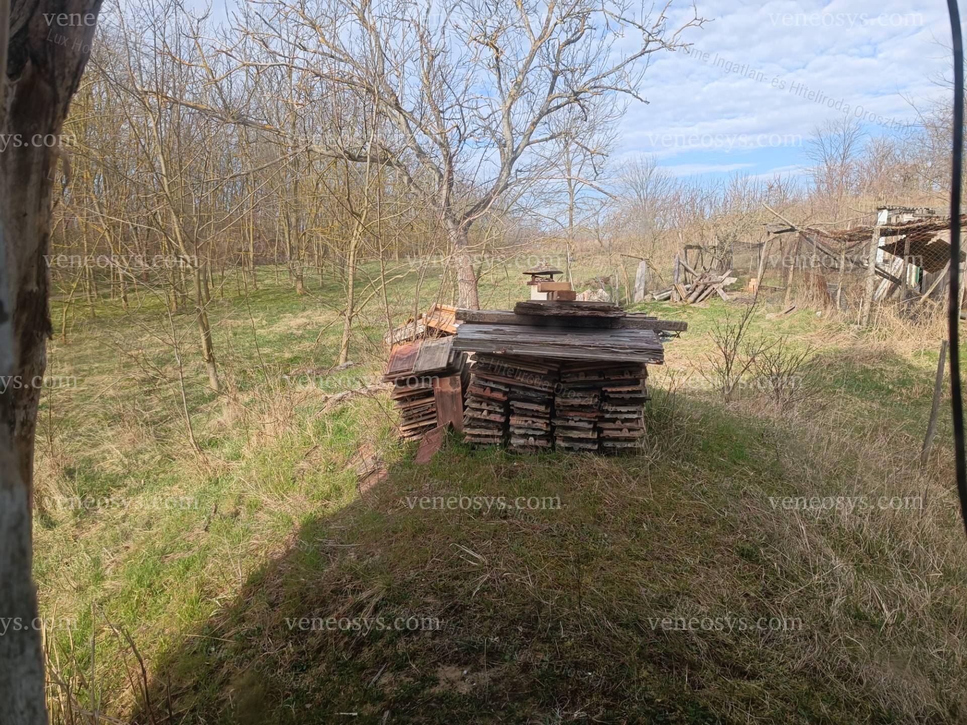 Kép 10