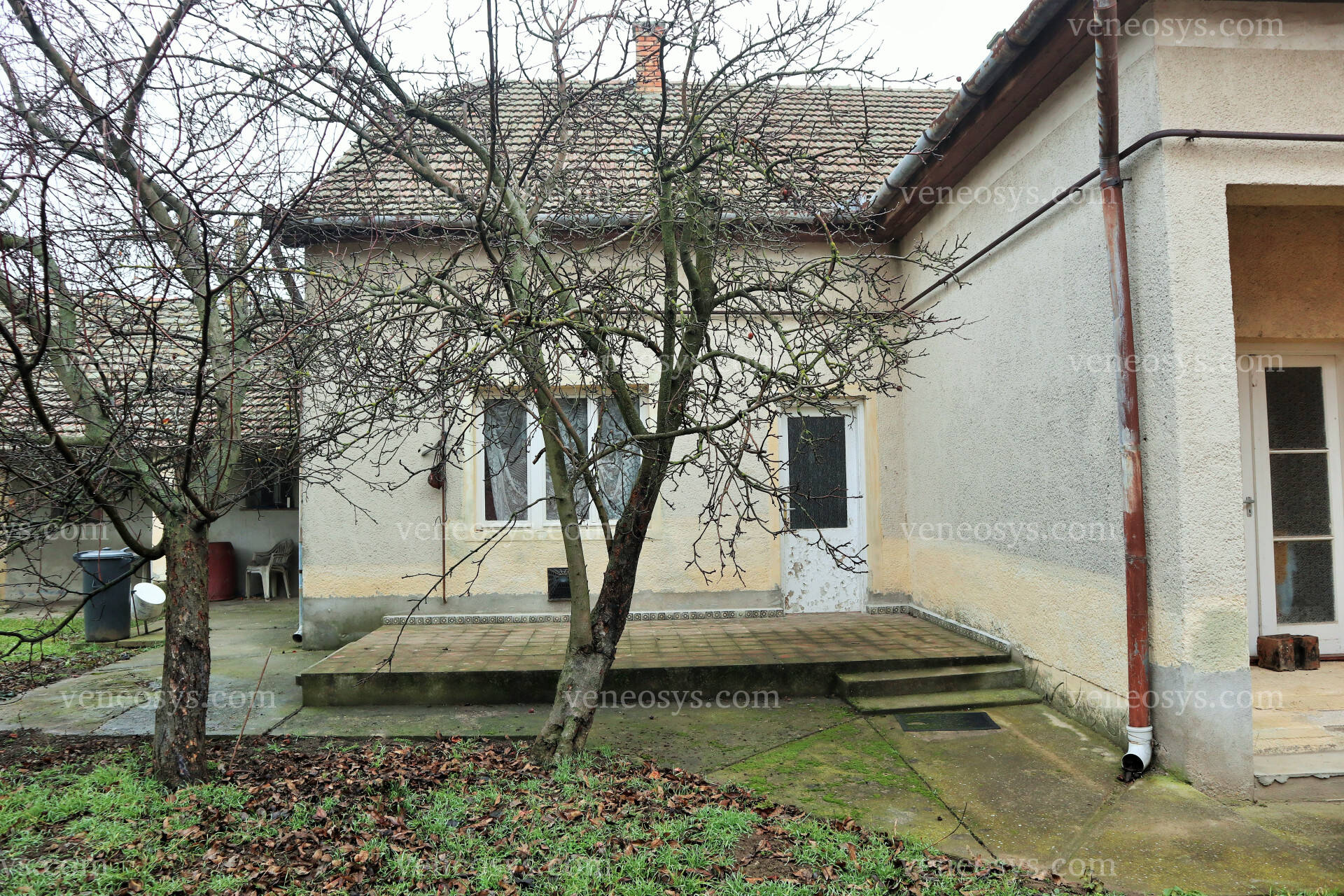 Kép 5
