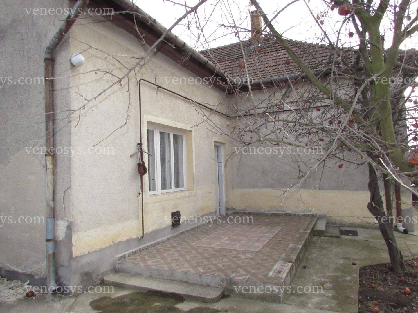 Kép 5
