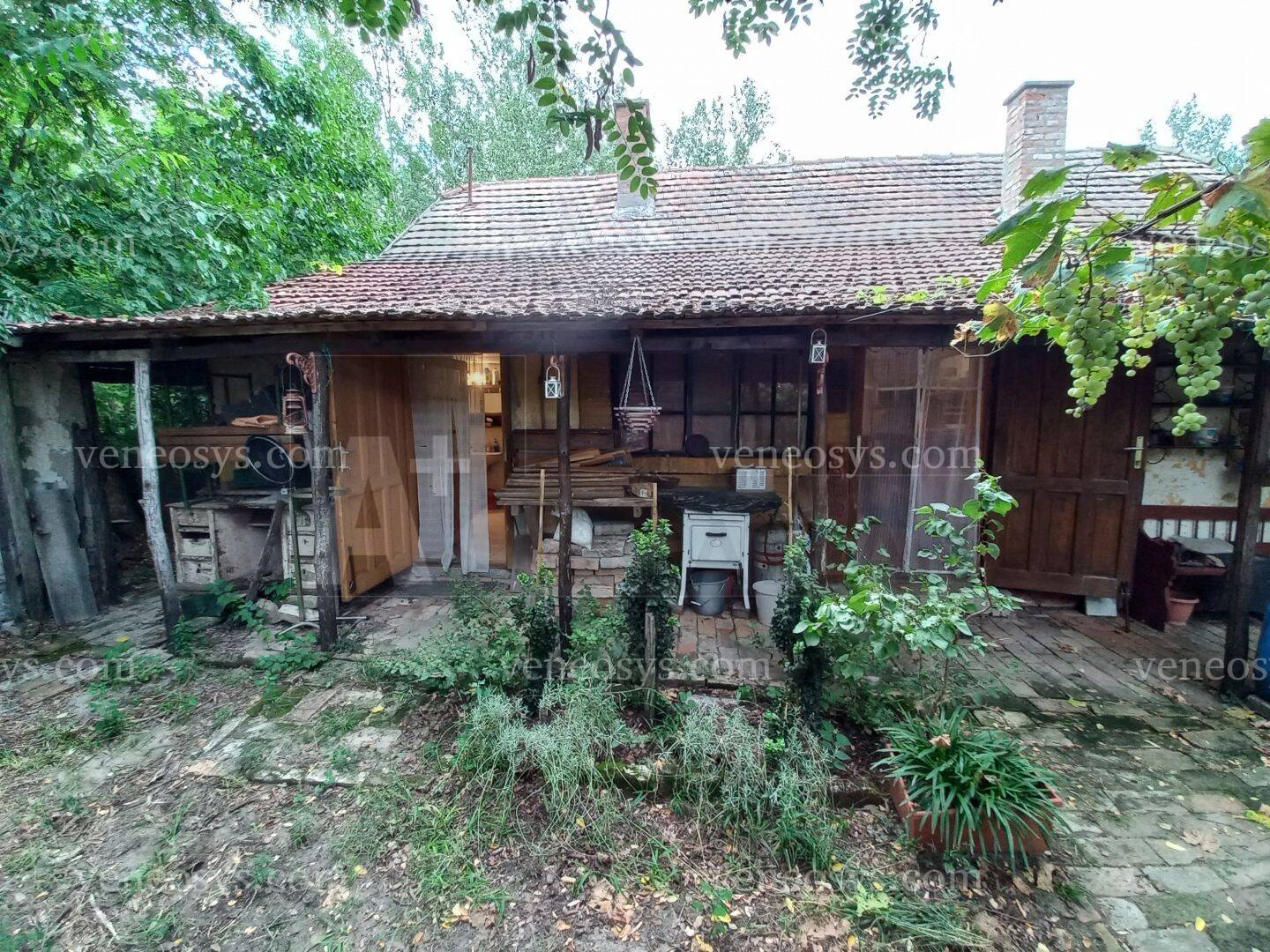 Kép 15