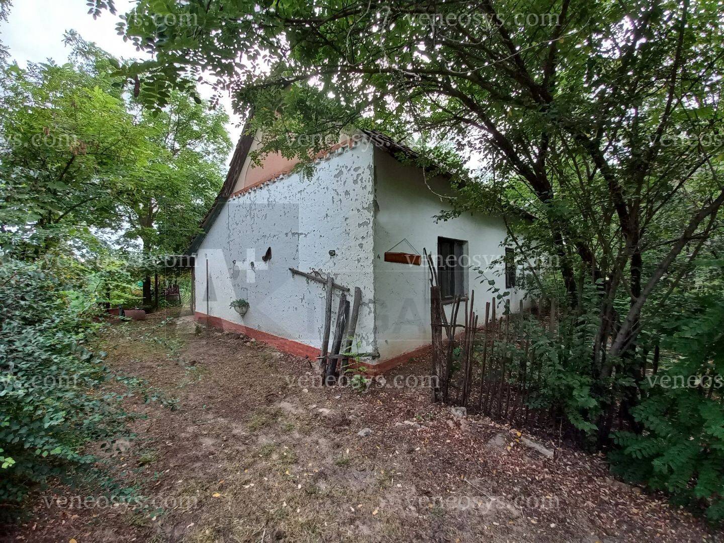 Kép 16