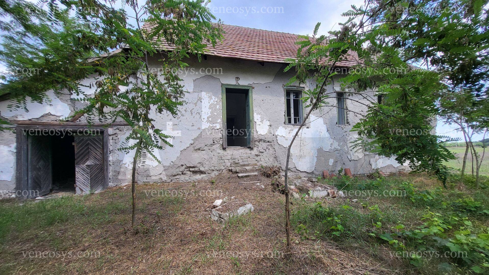 Kép 11