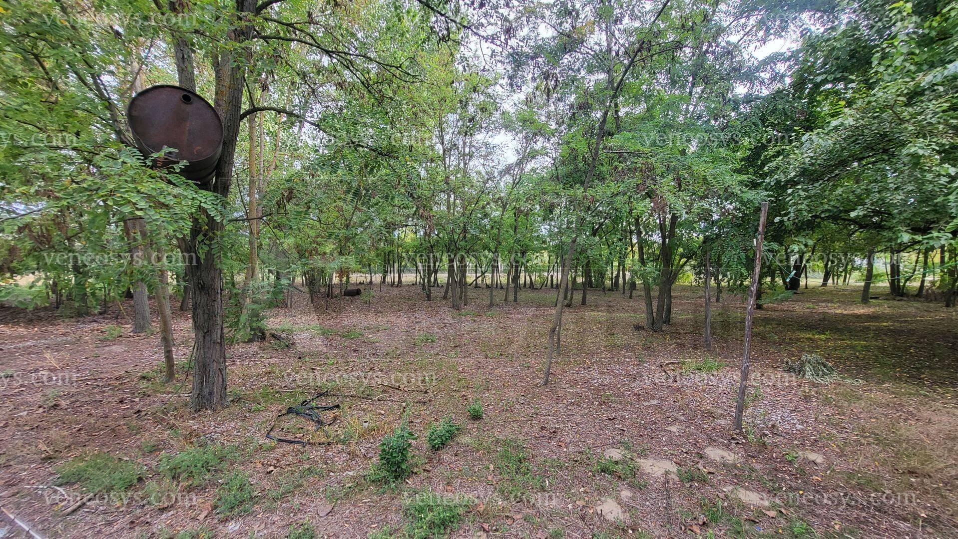 Kép 2
