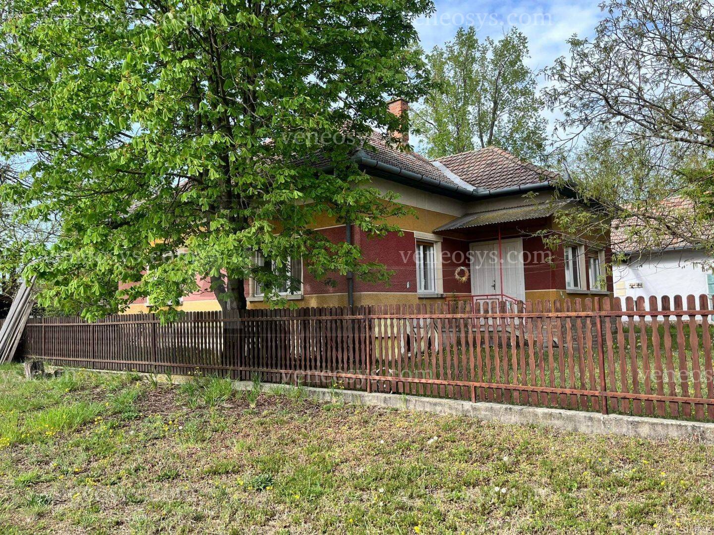 Kép 15