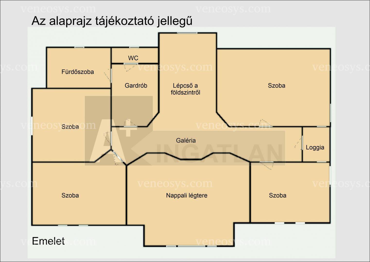 Kép 6