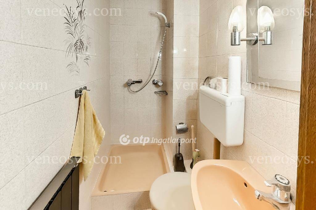 Kép 10