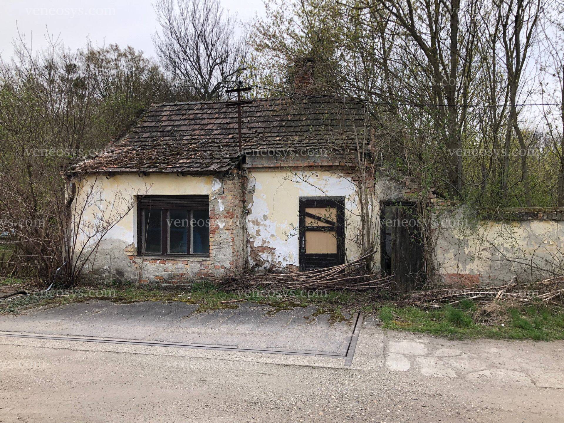 Kép 10