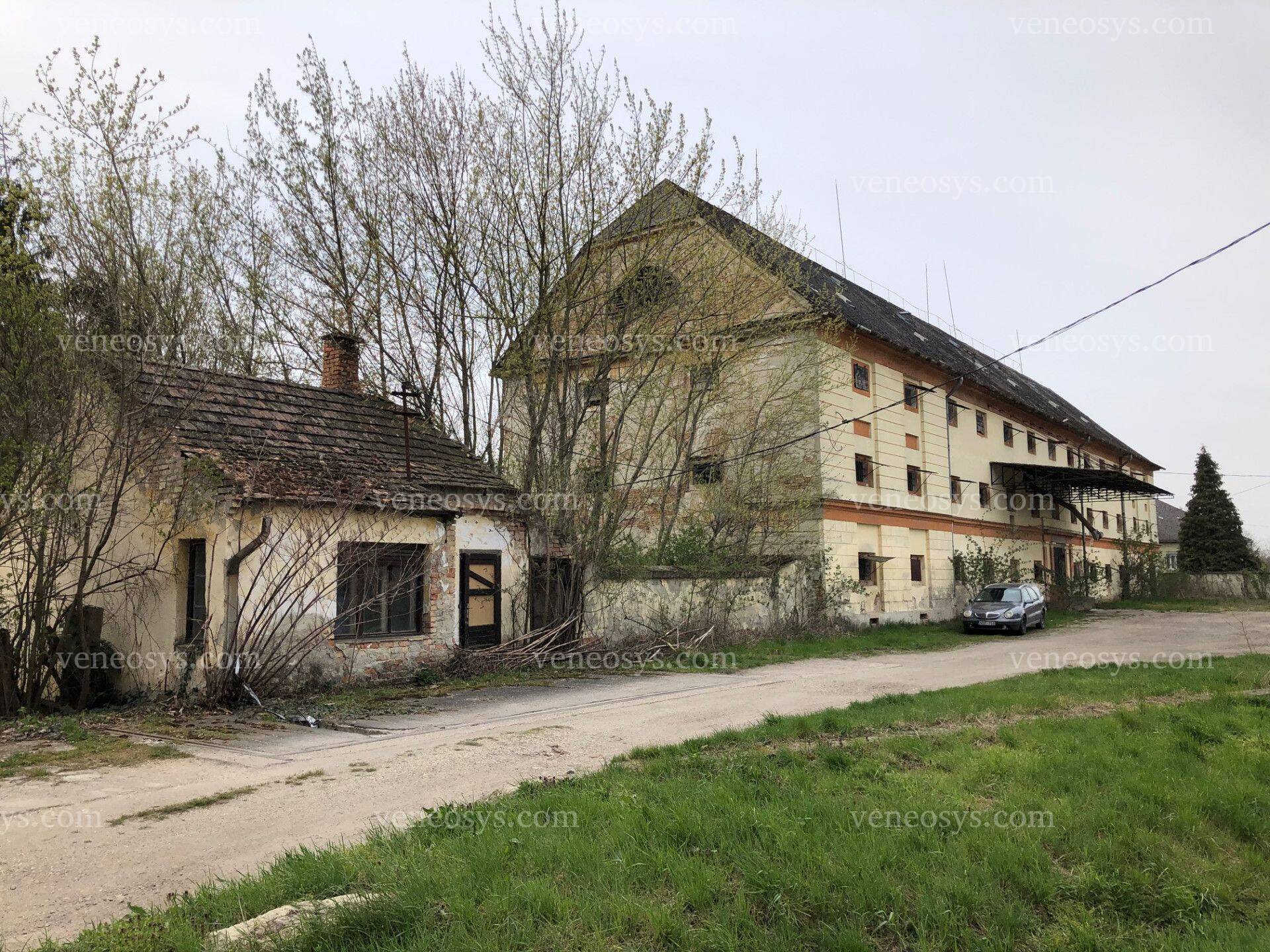 Kép 4