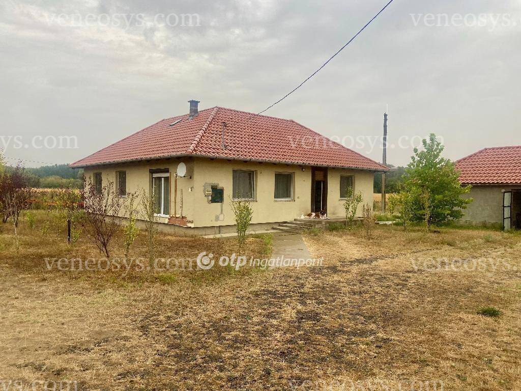 Kép 14